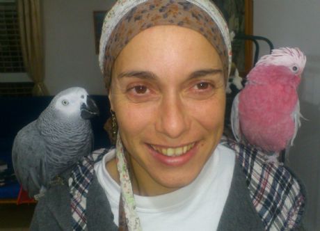 גאקו וקקדו